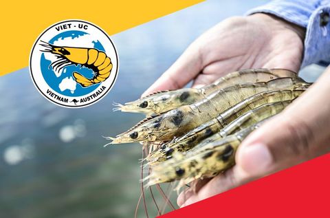 Viet Uc Seafood website